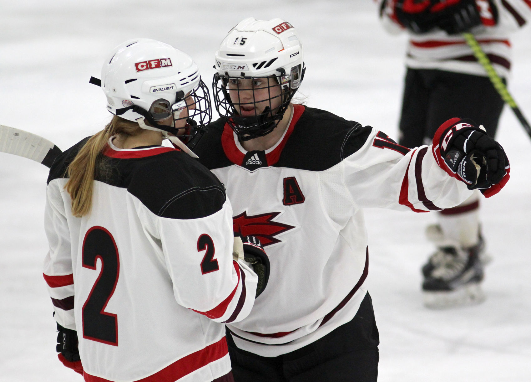 Medford at Chippewa Falls/Menomonie girls hockey 1-30-20